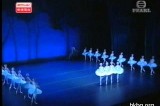 Hong Kong Ballet Group: Swan Lake 2004 - 4 Little Swans